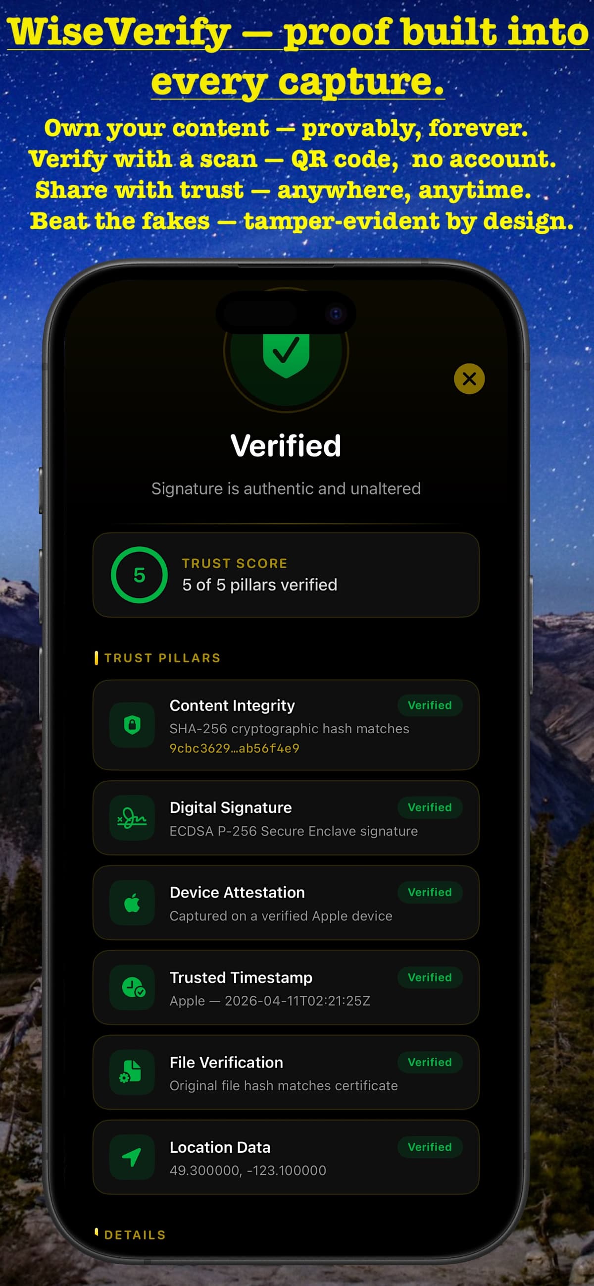 WiseVerify verified result — 5 of 5 trust pillars