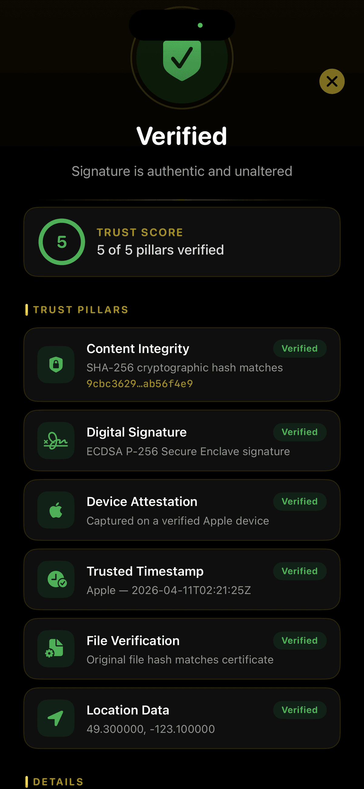 WiseVerify result screen showing 5 of 5 trust pillars verified